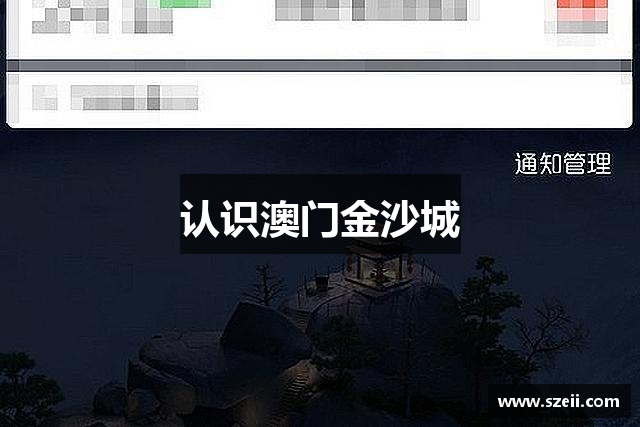 认识澳门金沙城
